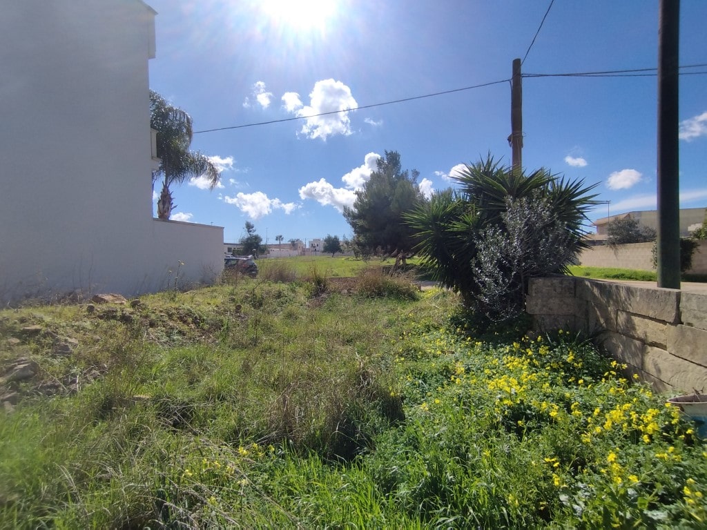 Giano Group Immobiliare